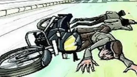 અરણીટીંબા પાસે બાઈક આડે કૂતરું આવતા ઇજા