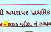 ટંકારાની અમરાપર (ટં) પ્રા. શાળાનું CGMS-2025માં ગૌરવપૂર્ણ પરિણામ