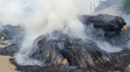 ભોજપરા (મોટા)માં આગ લગાડતા ૭૦ હજારનું નુકશાન