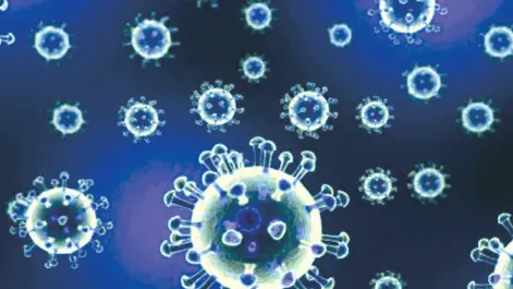 મોરબી જિલ્લામાં કોરોનાના નવા 4 કેસ નોંધાયા