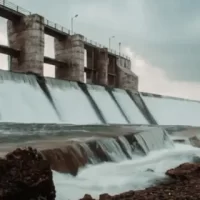 ઘેટાં- બકરા, માલ-ઢોરને સાચવજો: માર્ગદર્શિકા જાહેર