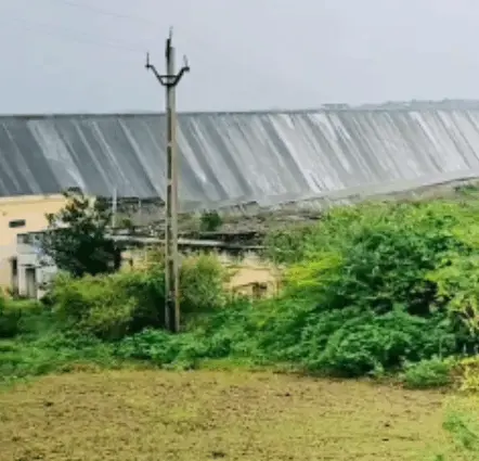 મચ્છુ-૧ પિયતના ફોર્મ તા: ૨૭ થી સ્વીકારાશે