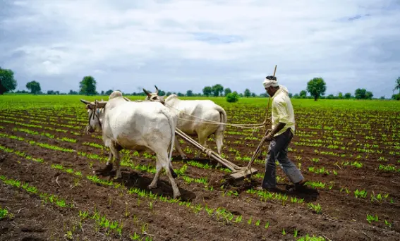 PM પાક વીમા યોજનામાં મોટો ફેરફાર