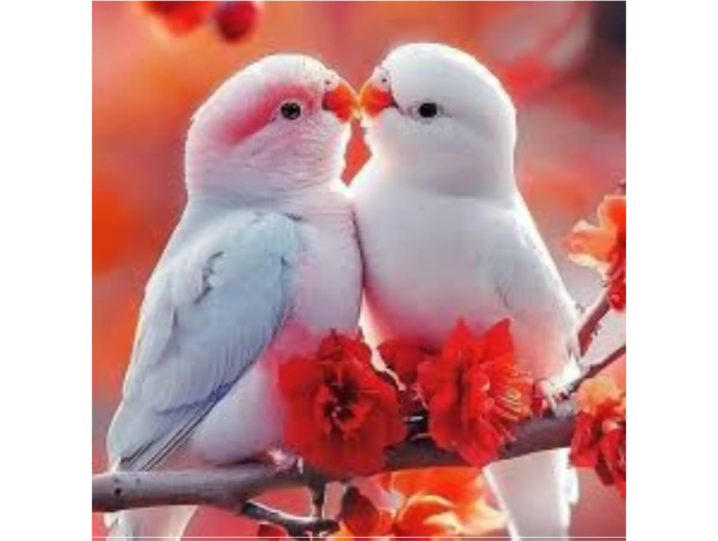 કુવાડવા પંથકની 3 સગી બહેનોને પ્રેમી ભગાડી ગયા