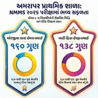 NMMS માં અમરાપરની વિધાર્થિનીઓનું ઉત્ક્રુષ્ટ પરિણામ
