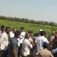 મેસરિયામાં વીજલાઈનની કામગીરી માટે પોલીસ રક્ષણ !!