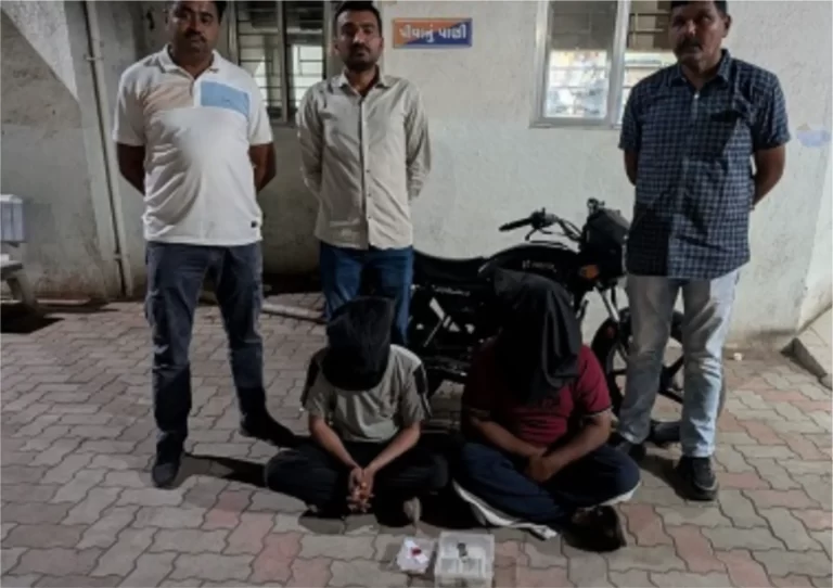 પલાંસની મહિલાનો સોનાનો હાર ઝૂંટનાર ઝડપાયો