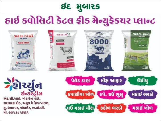 ફોર્ચ્યુન ઇન્ડસ્ટ્રીઝ (ધમલપર) તરફથી