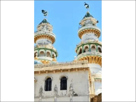 હજરત મોહમ્મદ શાહબાવાનો ઐતિહાસિક ઉર્સ મુબારક