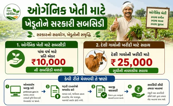ઓર્ગેનિક ખેતી માટે ખેડૂતોને સરકારી સબસિડી