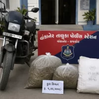 પલાંસ-વીડી જાંબુડીયા રોડ પરથી ગાંજો પકડાયો