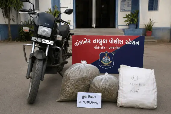 પલાંસ-વીડી જાંબુડીયા રોડ પરથી ગાંજો પકડાયો