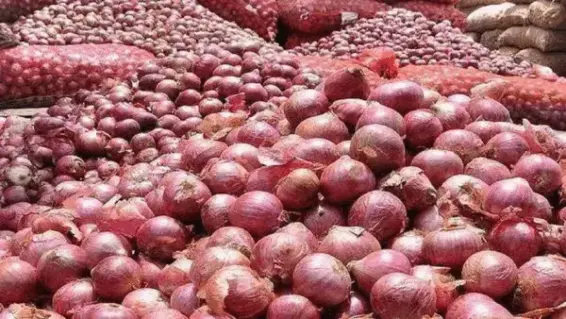 સરકાર ડુંગળી રૂ. 16.50 પ્રતિ કિલોના ભાવે ખરીદશે