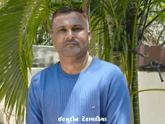 ભાજપના વિવિધ મોરચાની રચના કરાઈ