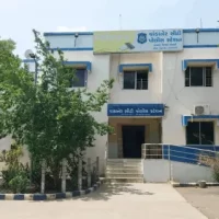 પેસેન્જરને બદલે દારૂ જતી બે રીક્ષાઓ પકડાઈ